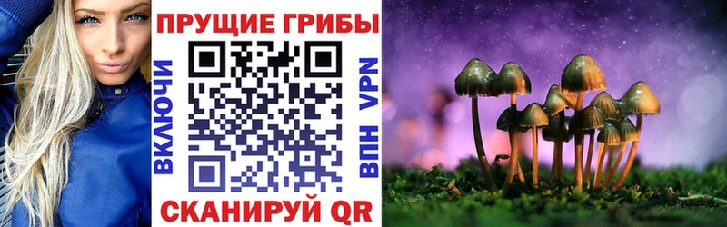 kraken как зайти  Котлас  Псилоцибиновые грибы Magic Shrooms 